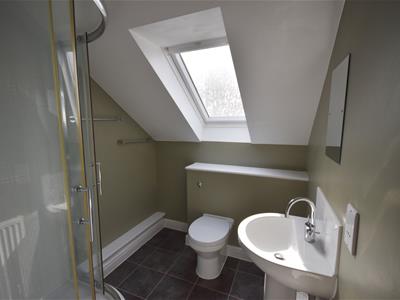 Picture 14